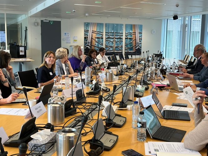 Representatives of the Supreme Court participated in a meeting of the Judiciary and Media Working Group of the ENCJ